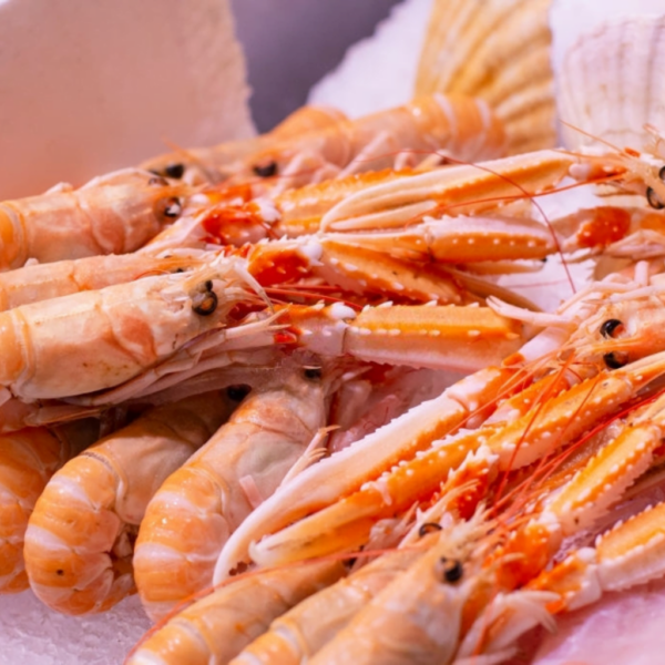 PRAWNS SCAMPI ‘A’ GRADE (8-12 PCS / KG)