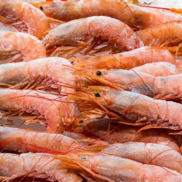 PRAWNS SCAMPI ‘B’ GRADE (14-16 PCS / KG)