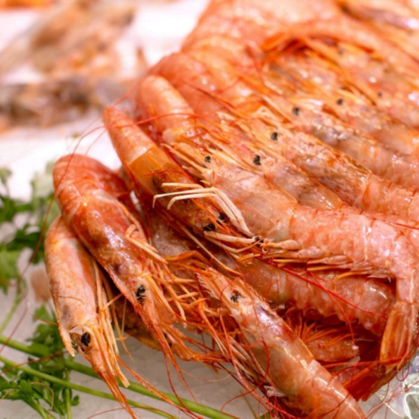 PRAWNS SCMAPI ‘C’ GRADE (25-30 PCS/ KG)