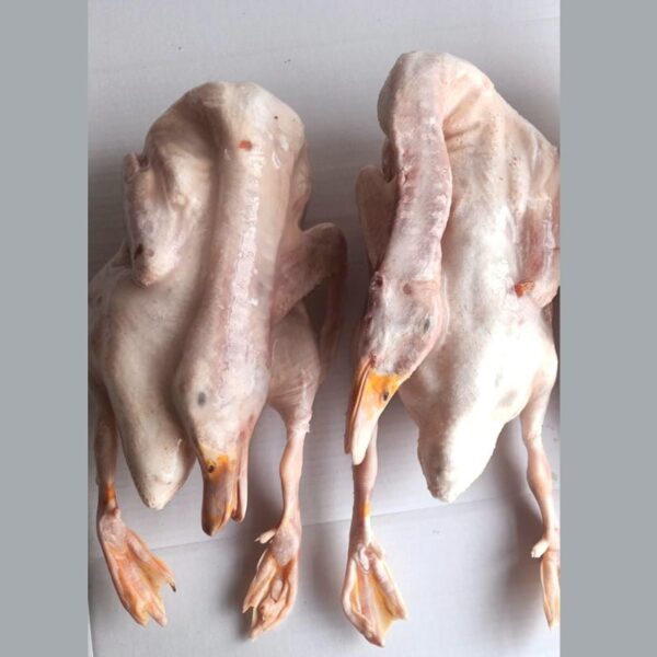 DUCK BOMBAY approx 1 and 1/2 kg
